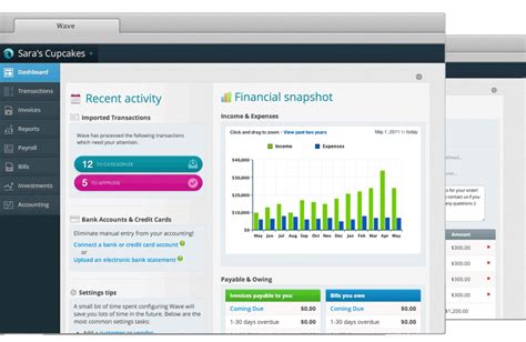 Wave Accounting 2025 For Free
